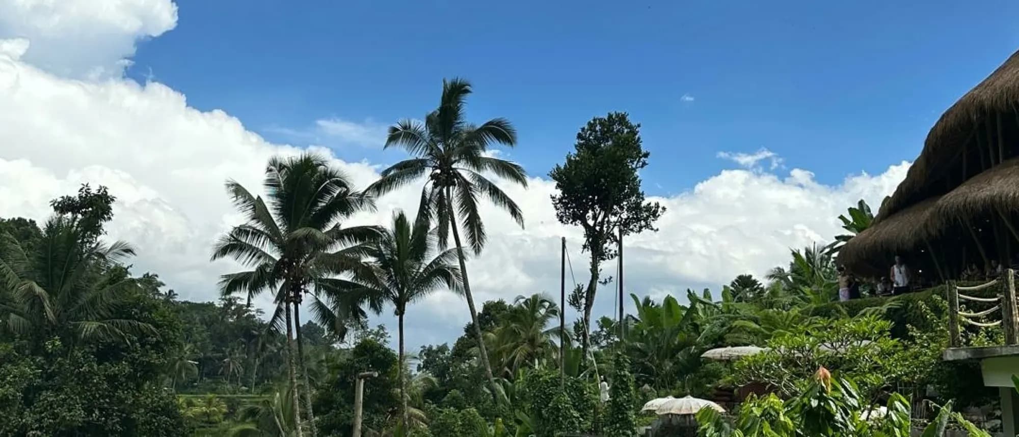 Airbnb op Bali in 2026: NIB Verplicht & Nieuwe Regels