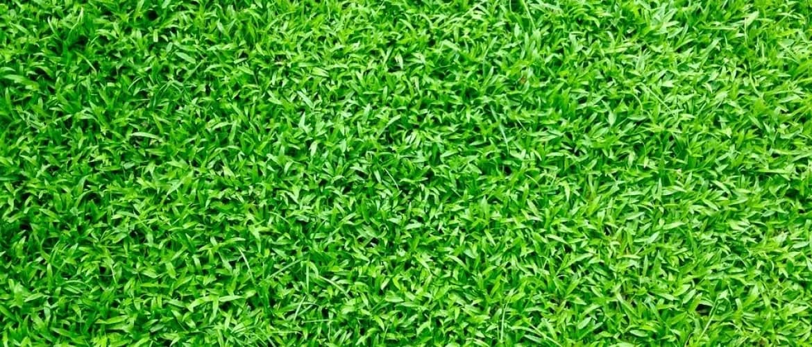 erfpacht en recreatie woning1 gras 1170x500 f7fed8a1