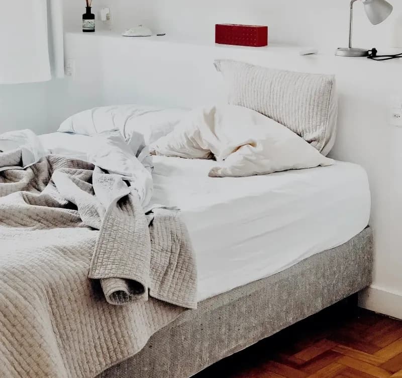 Hoe je bedwantsen in jouw vakantiewoning kunt voorkomen en behandelen.