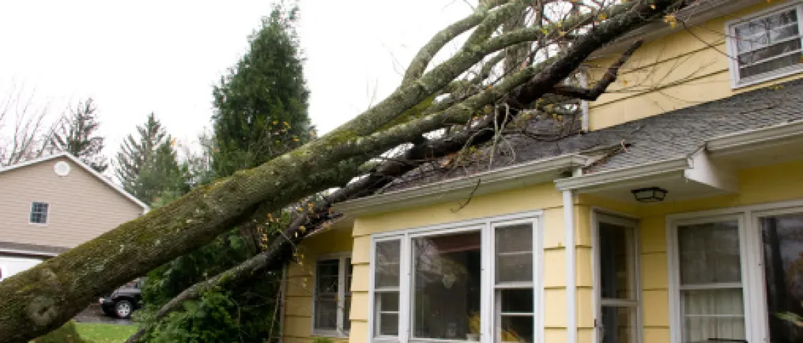 recreatiewoning verhuren en de verzekering waar op te letten stormschade 1 1170x500 f4f67250