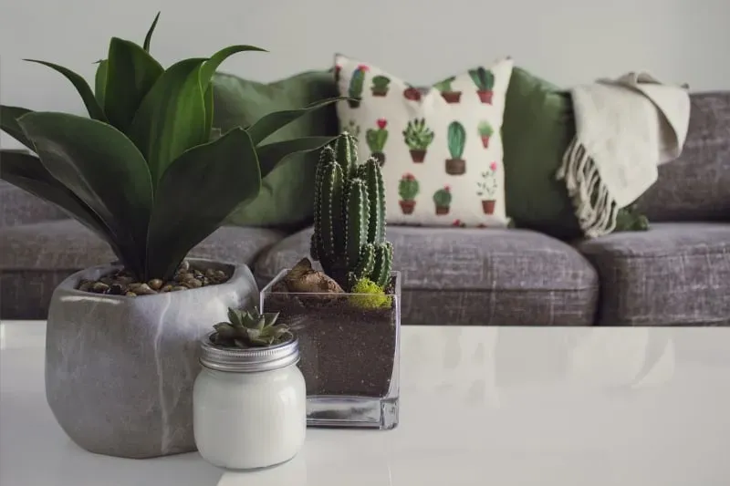 recreatiewoning verhuur