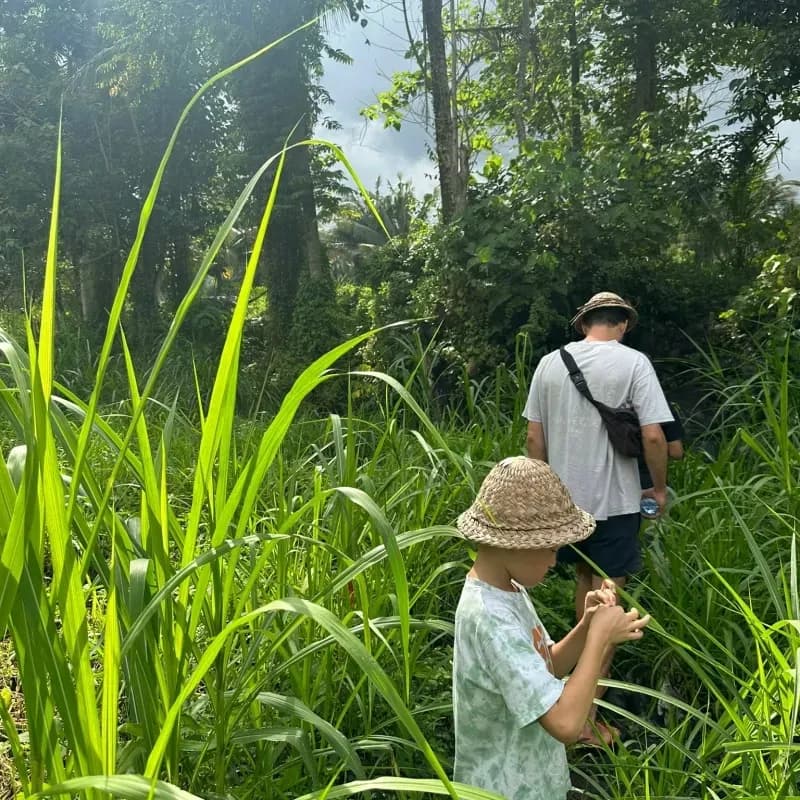 Ervaar Balis Mooiste Weekendjes Weg naar Nusa Lembongan, Lovina, Amed, Munduk en Sidemen